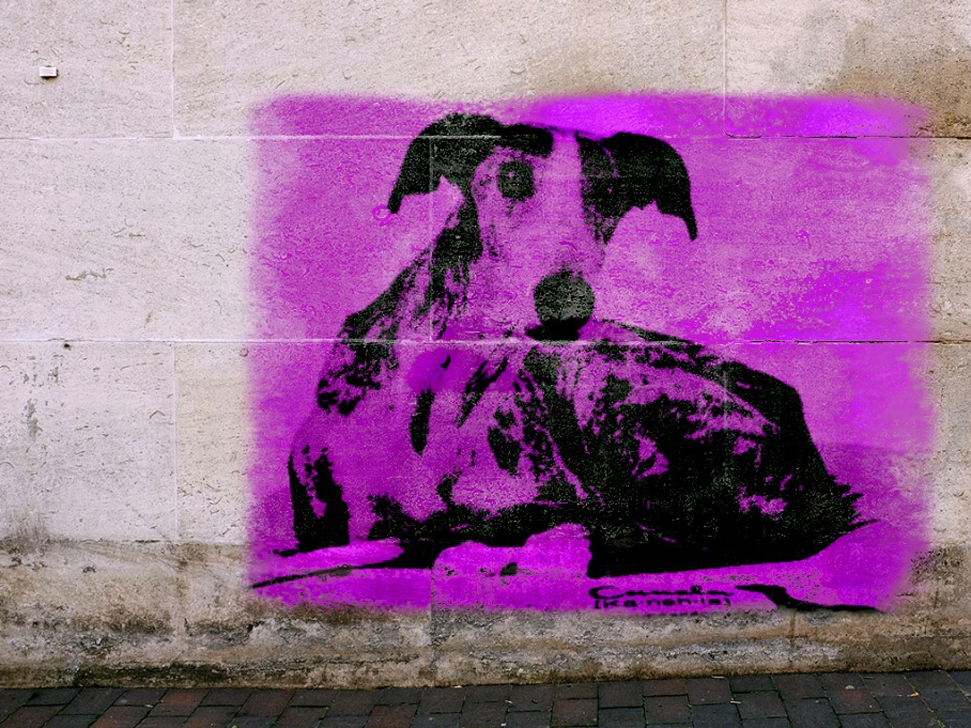 Netz-Fundstück | Graffiti Stencil vom eigenen Hund