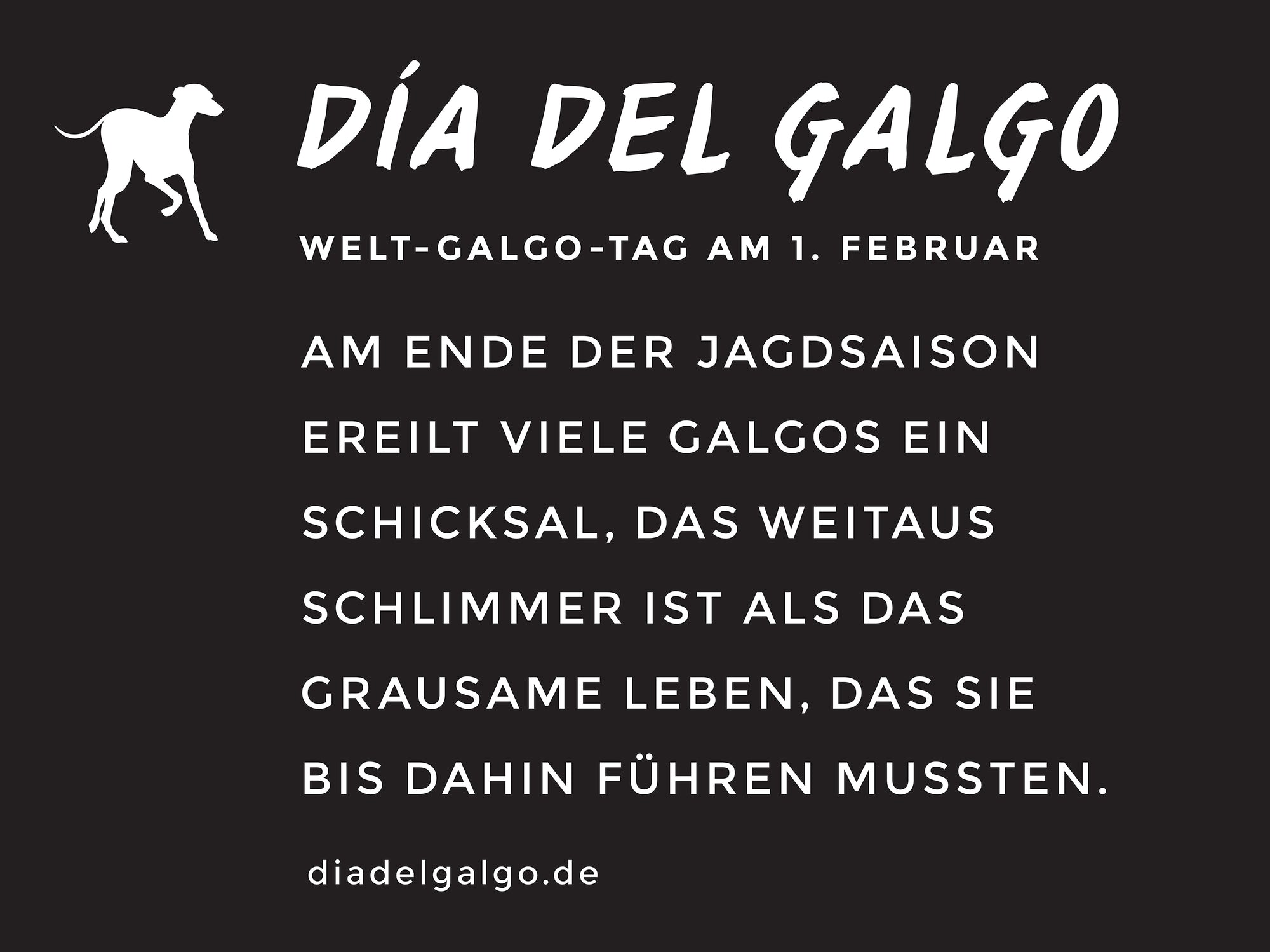 INFO | Aktion zum Welt-Galgo-Tag am 1.2.
