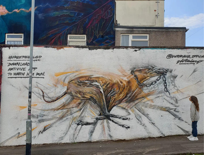Street Art Gemälde Free the Galgo des spanischen Künstlers Victoriano