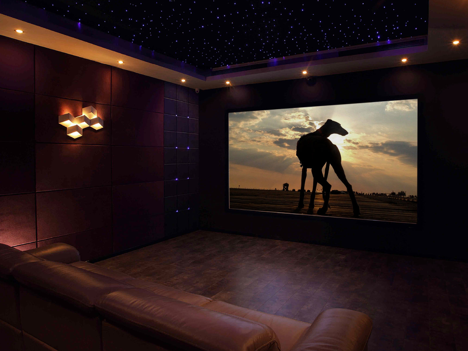 Netz-Fundstück | 'Cicatrices' - ein Kurzfilm über den spanischen Galgo