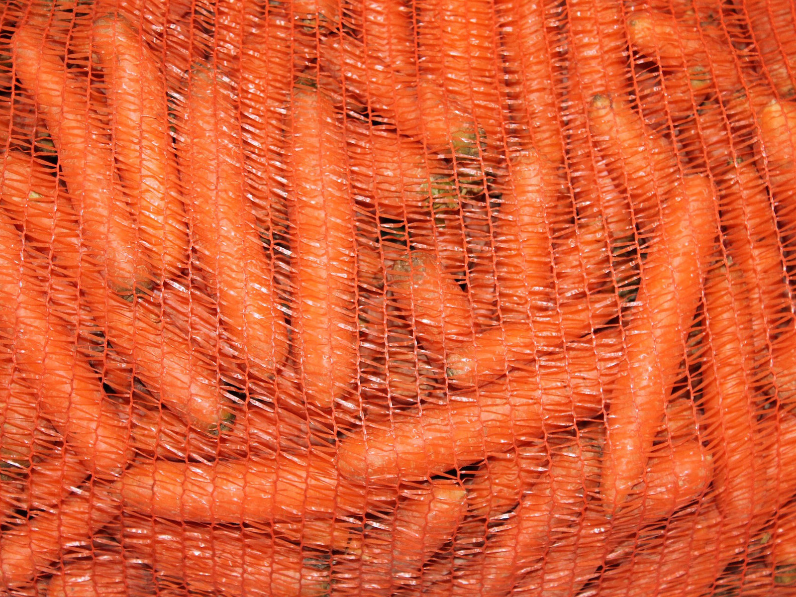 Gesundheit | 'Moro-Suppe' bei Durchfall