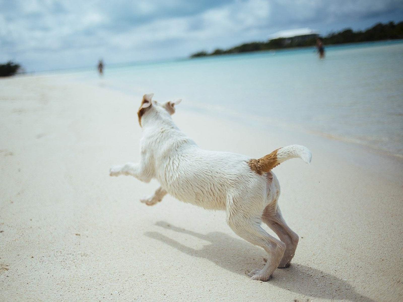 Gesundheit | Tipps bei Sommerhitze