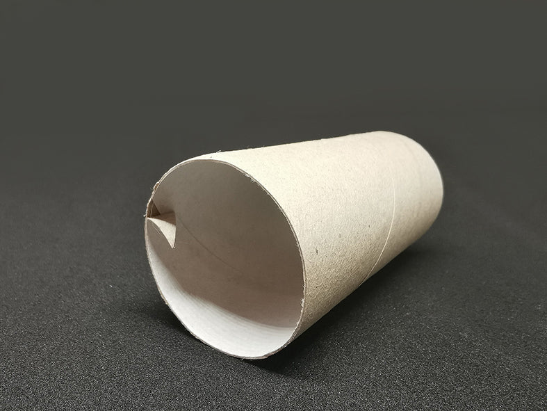 Do(g)-It-Yourself | Hunde Spielzeug aus Klopapierrollen