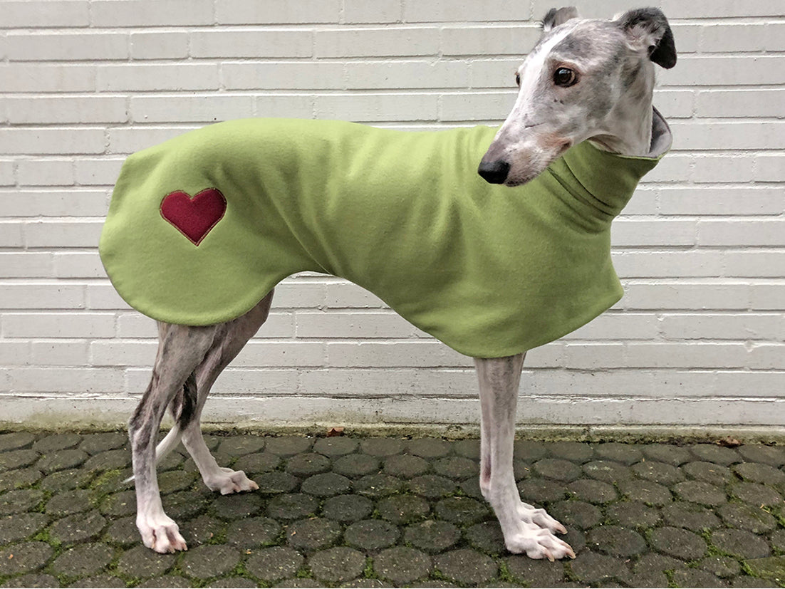 Aktuelles | Windhund-Mantel Nähaktion für den Tierschutz