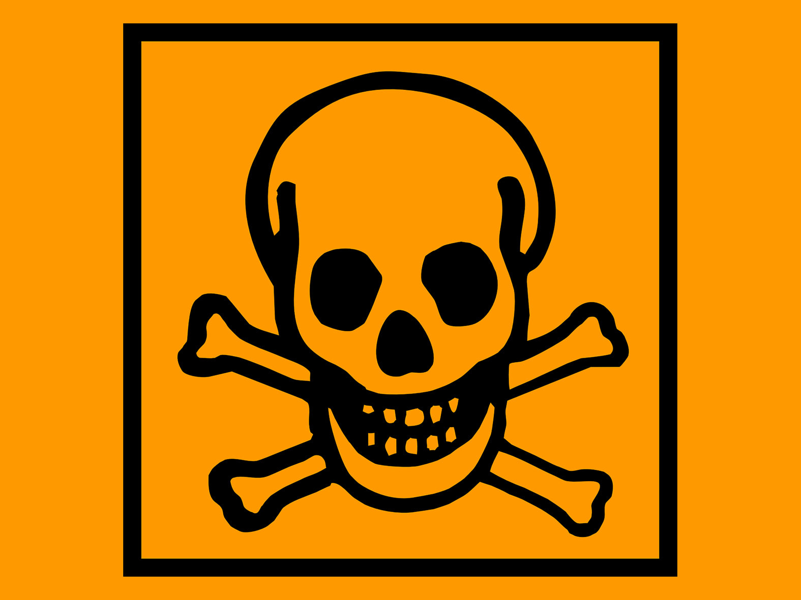 Hund gesund | Rizinus - tödliche Gefahr für Hunde