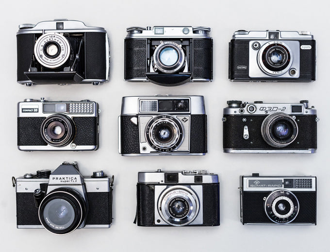 Netz Fundstück | Ron Schmidt - Hundefotograf