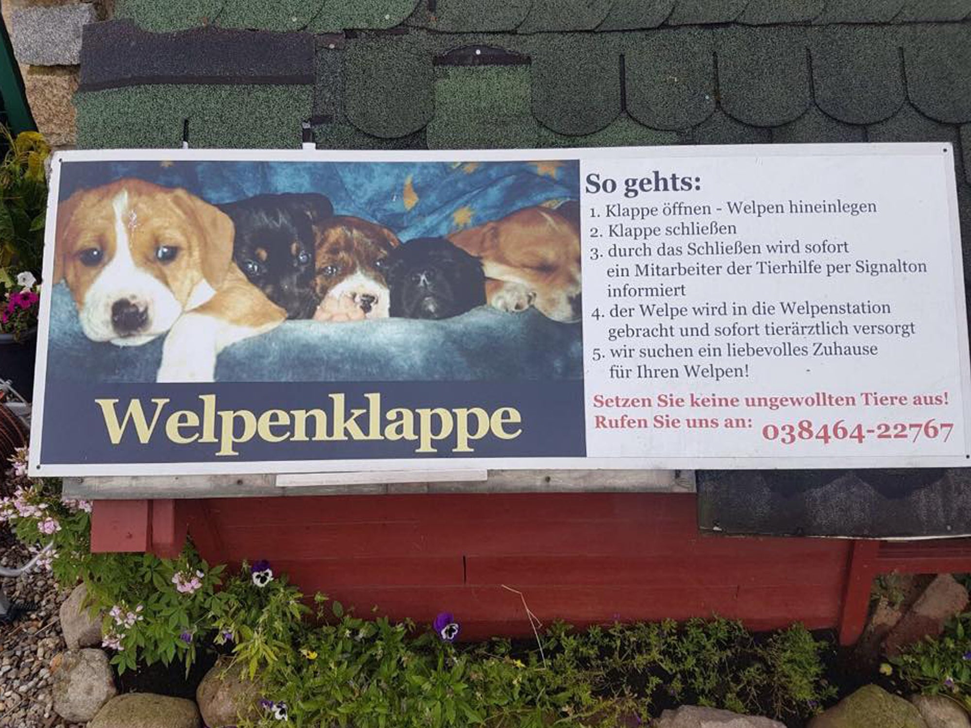 Info | Welpenklappe bei der Tierhilfe Norddeutschland