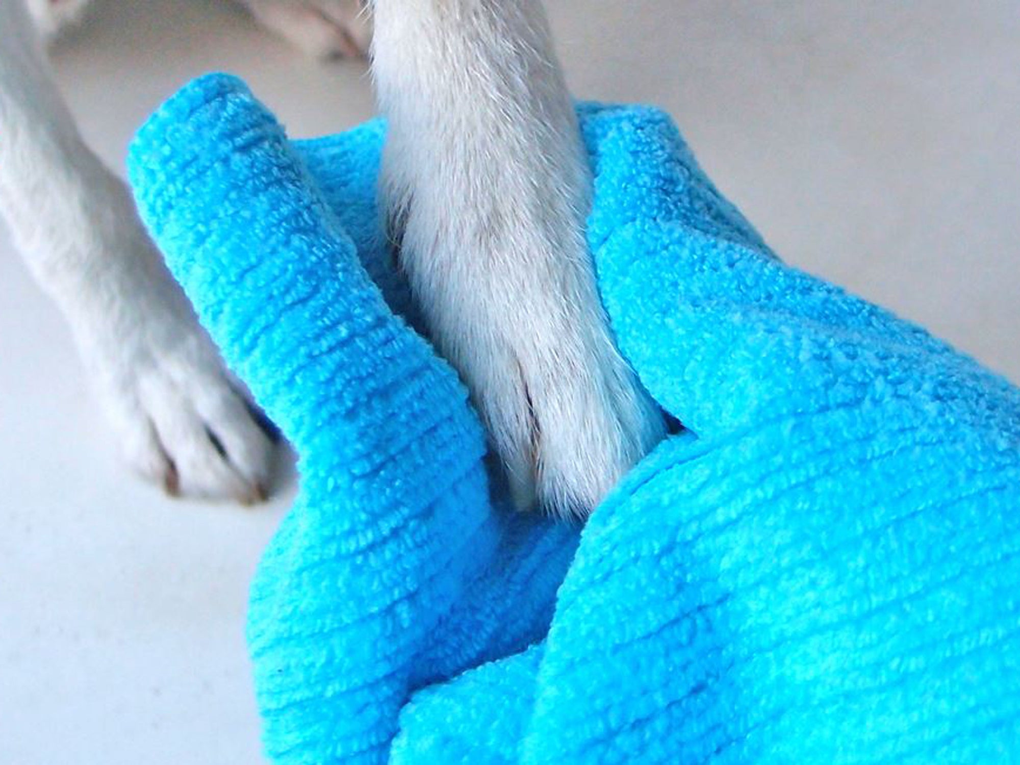 DIY | Tuch für dreckige Hundepfoten