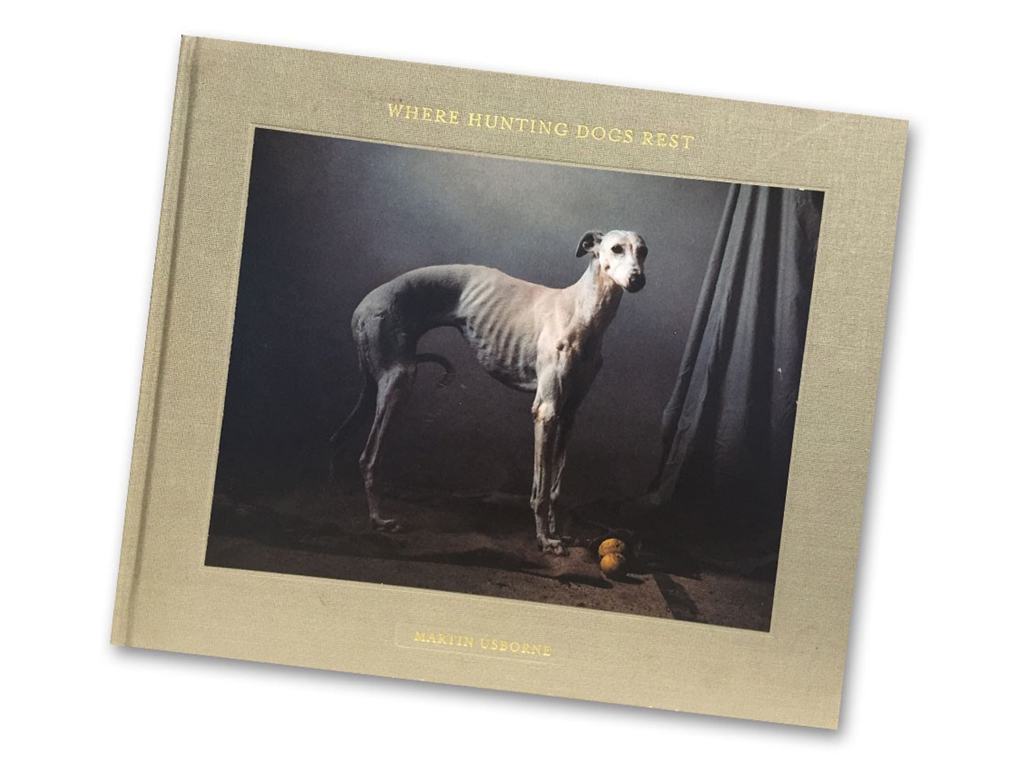 Buch | »The story of the Spanish Hunting Dogs« von Fotograf Martin Usborne