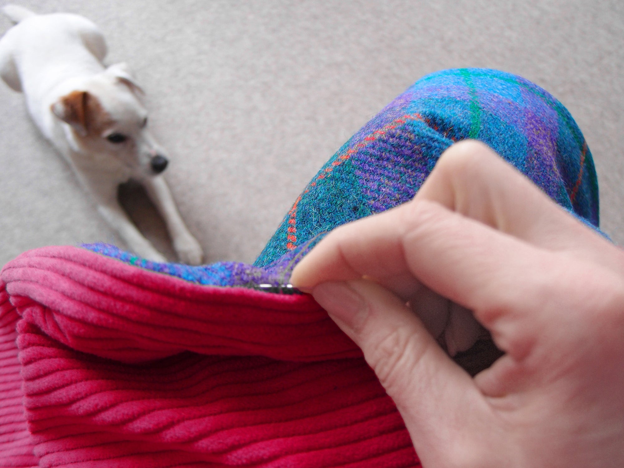 Terrier sitzt vor Handarbeit nähen Handmade Harris Tweed Decke für Hunde