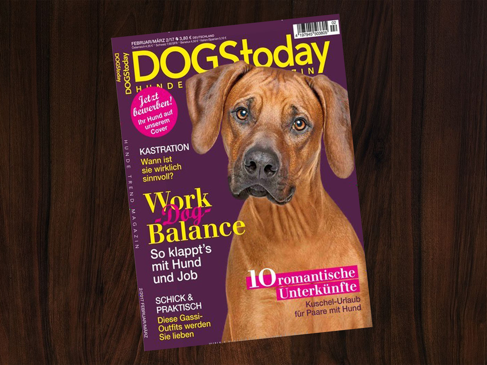 Presse | Erste Veröffentlichung in 2017