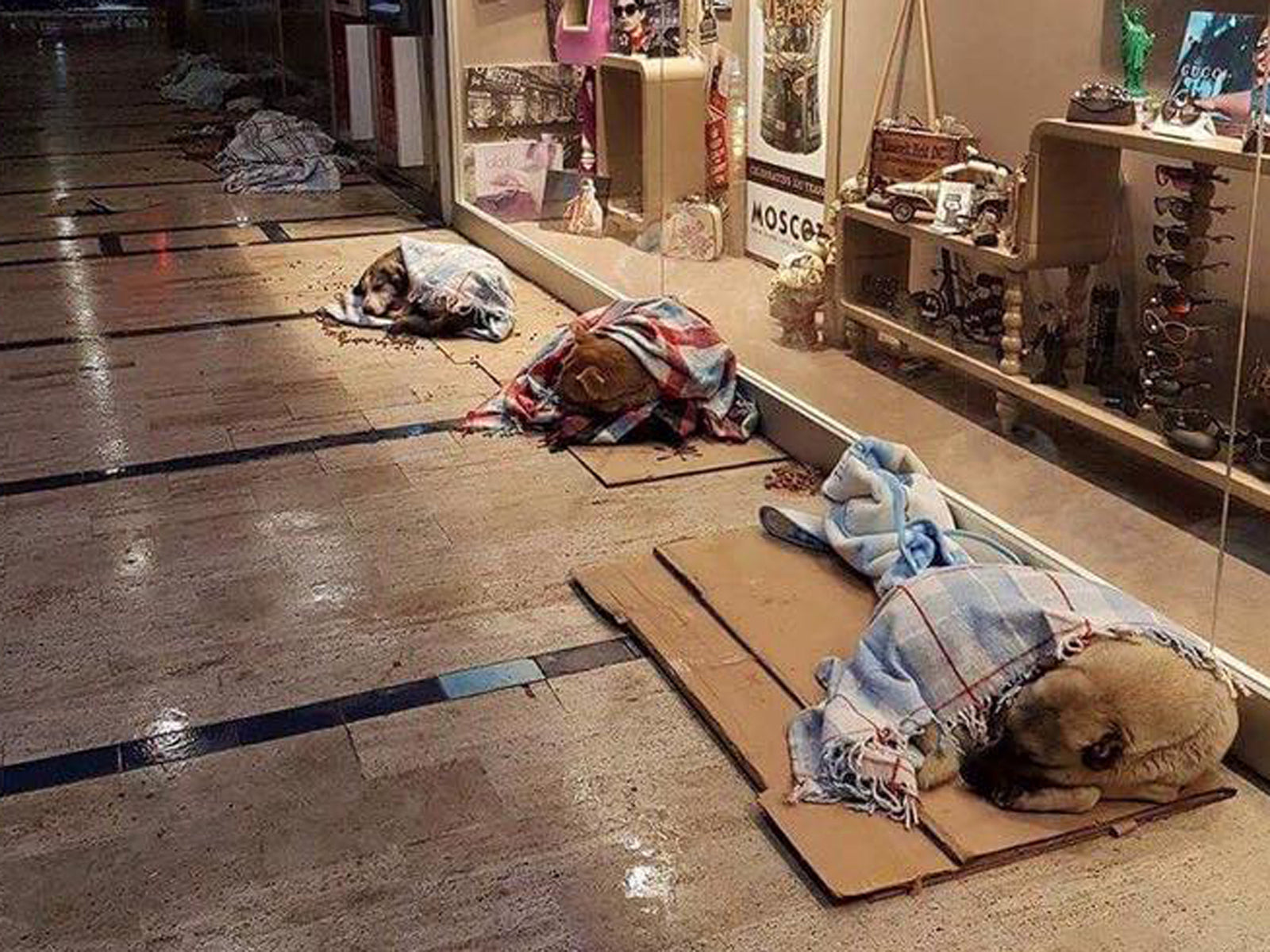 Netz-Fundstück | Winter in Istanbul