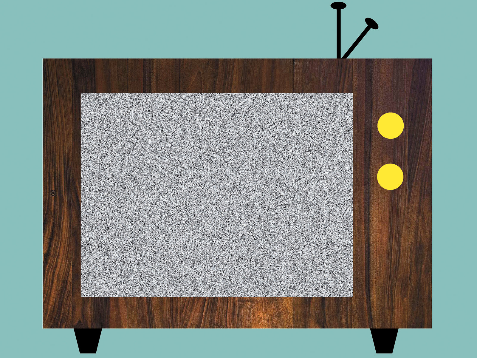 Info | TV-Beitrag über spanische Windhunde im WDR