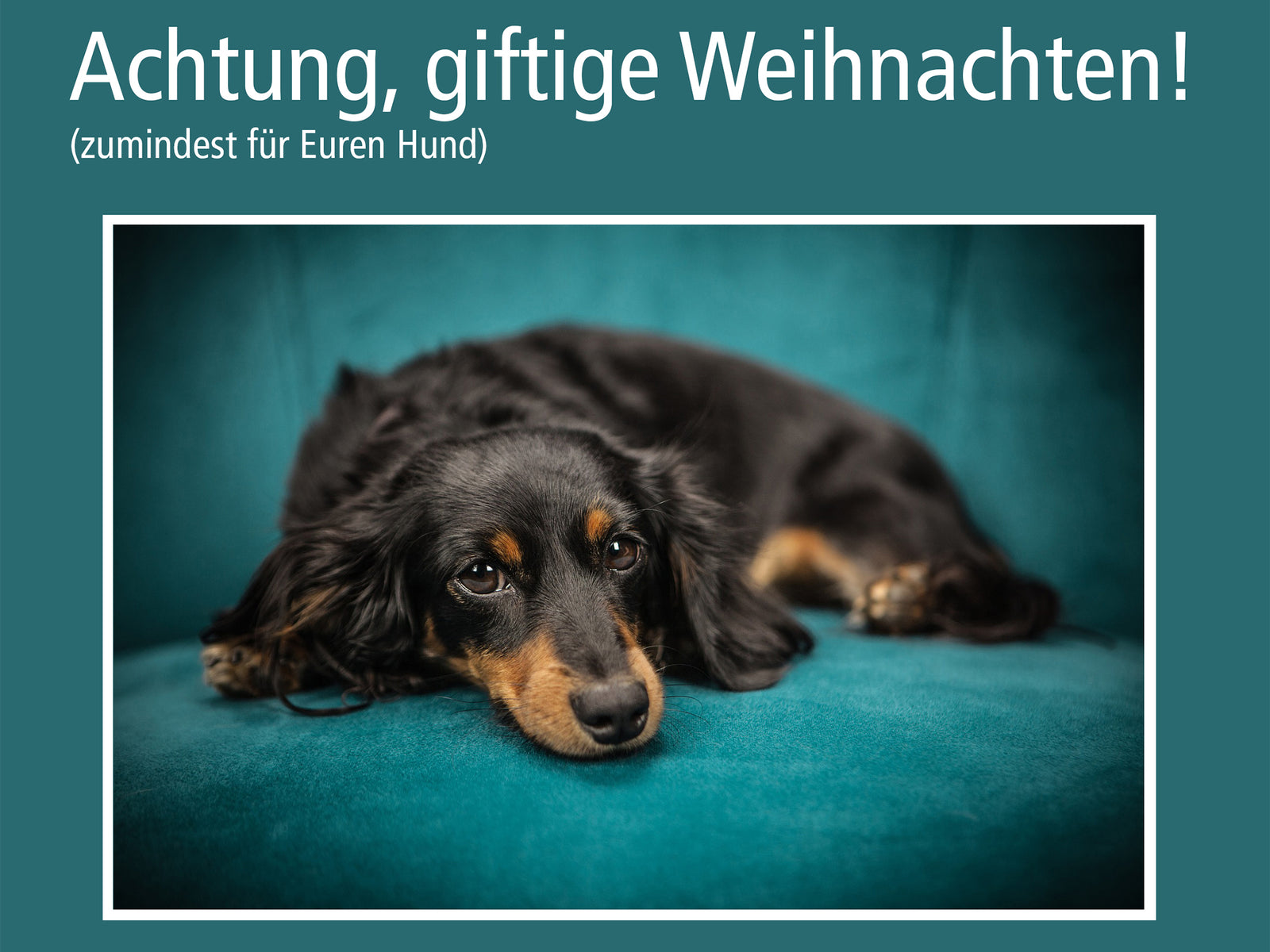 Gesundheit | Weihnachtliche No-Go's