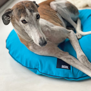 Design Hundebett »Moin«