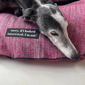 Design Hundebett »Not interested«