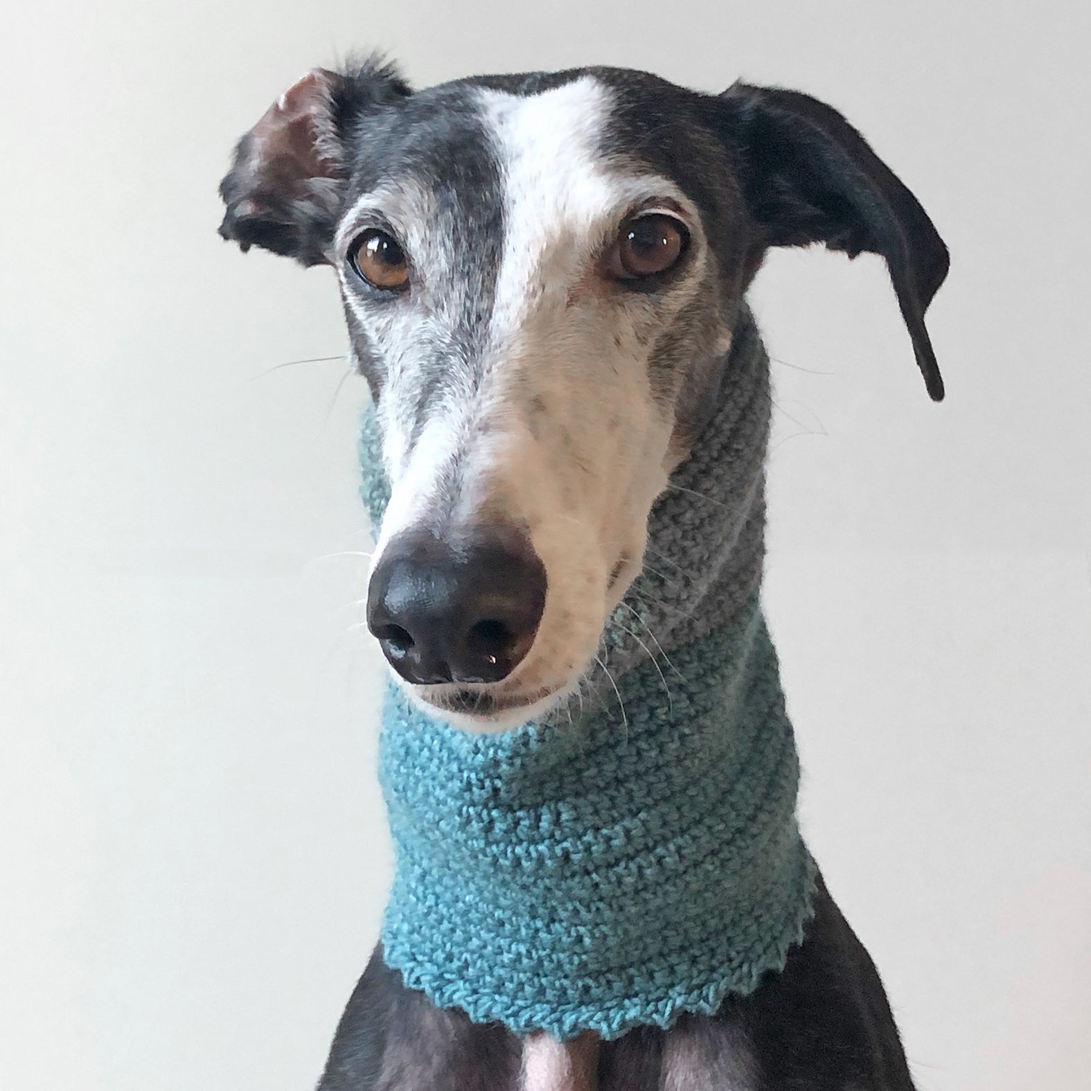 Loop - Kragen »GrisBlu«