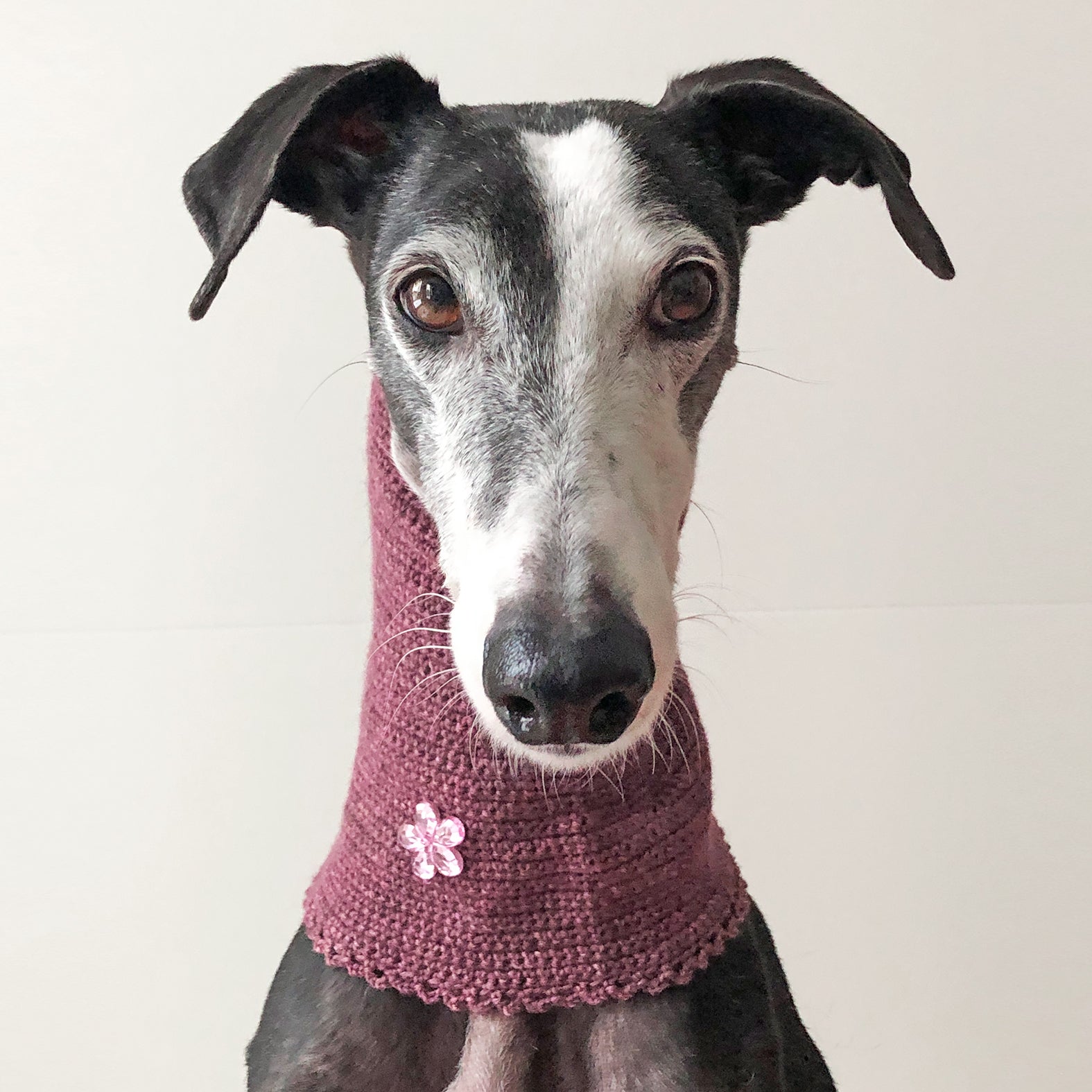 Loop - Kragen »Mauve«