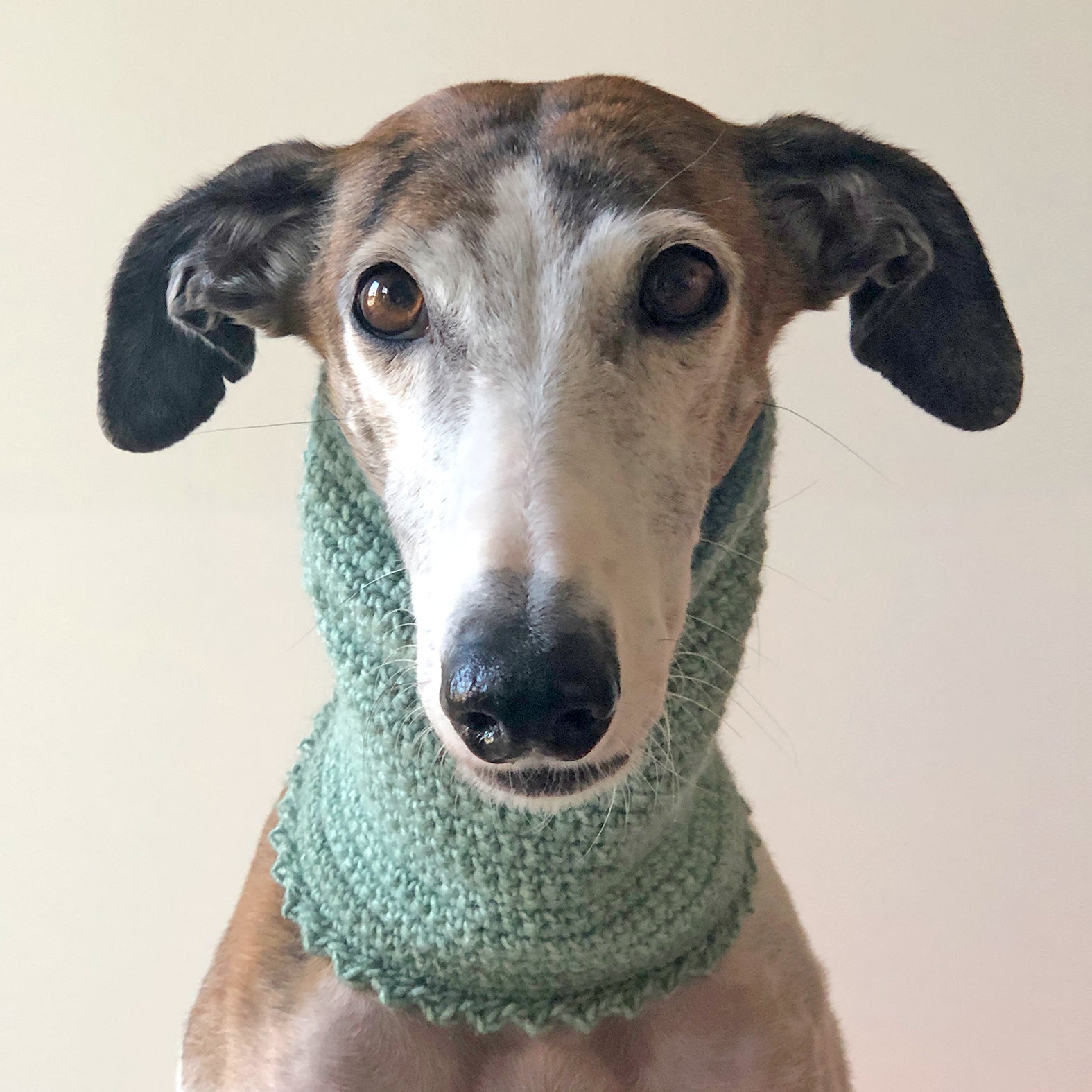 Loop - Kragen »Petrol & Verde«